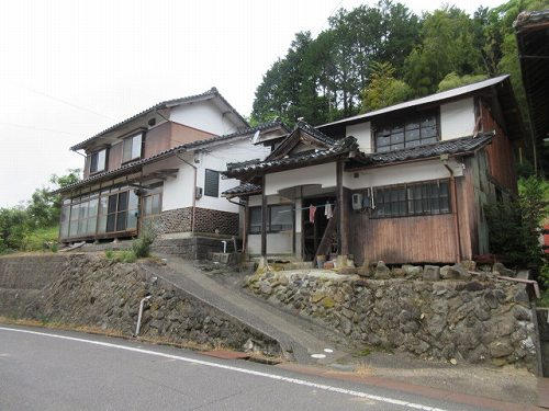 43384画像
