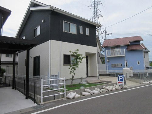 43393画像