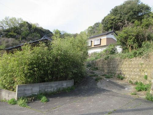 43431画像