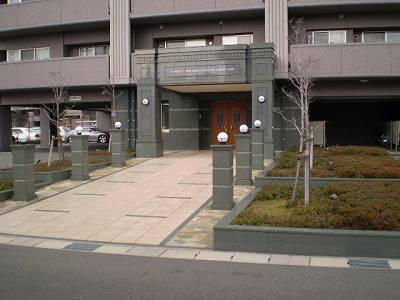 70533画像
