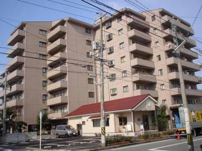 70565画像