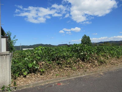 鹿野・気高地区　土地面積:631.23平米 ( 190.94坪 )　