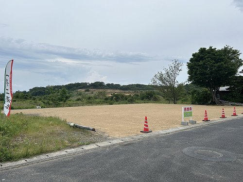 13314画像