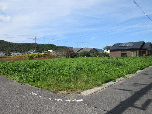 13566画像