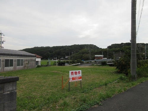 13571画像