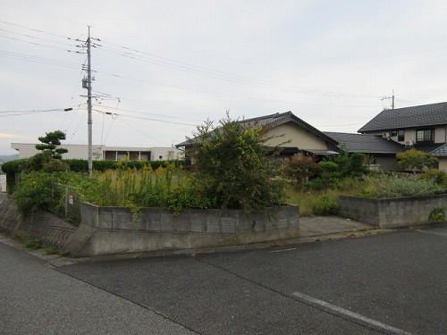 13572画像